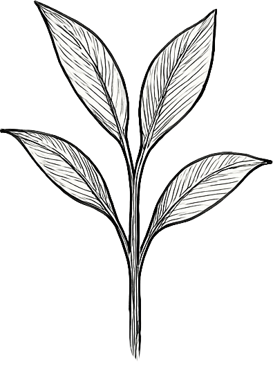 Jennifer Hand: Hope Beneath the Rubble